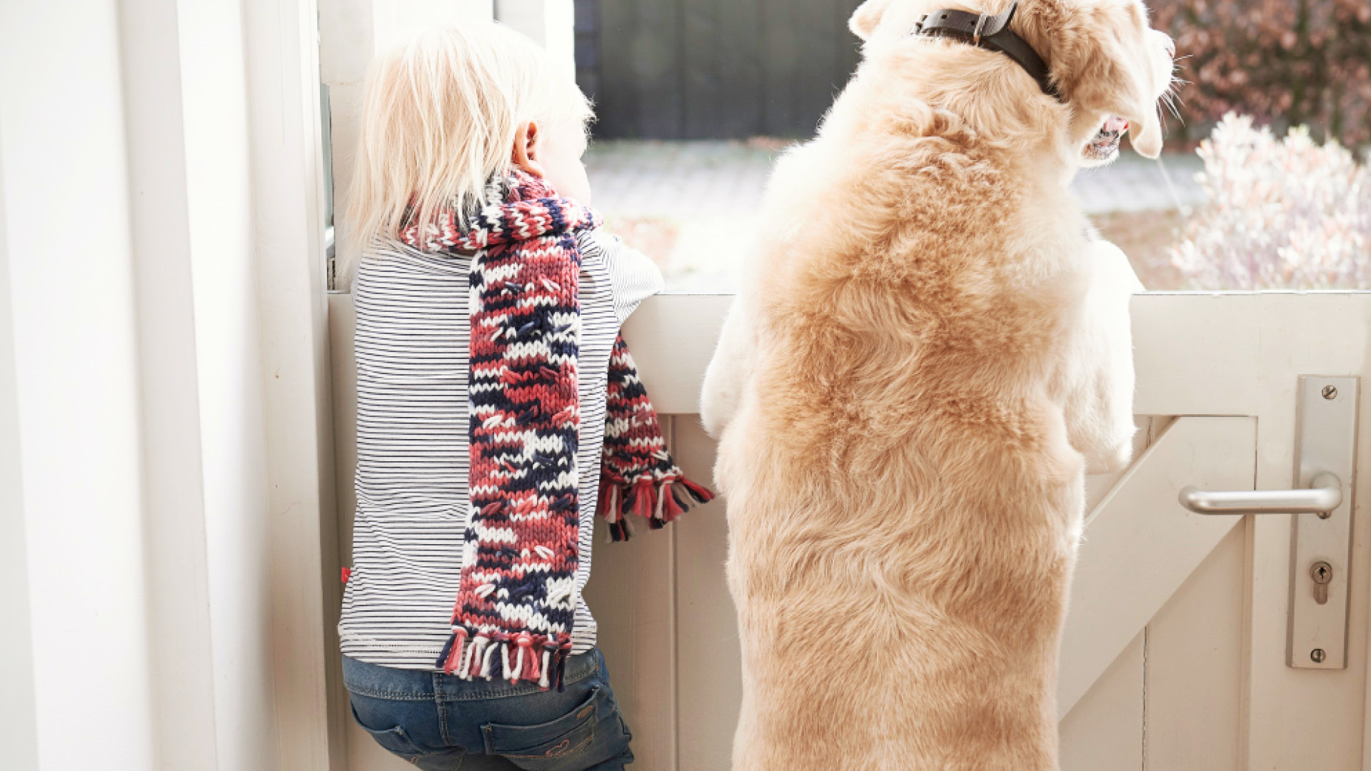 Agentur ILK Kidswear babyface Kindermode